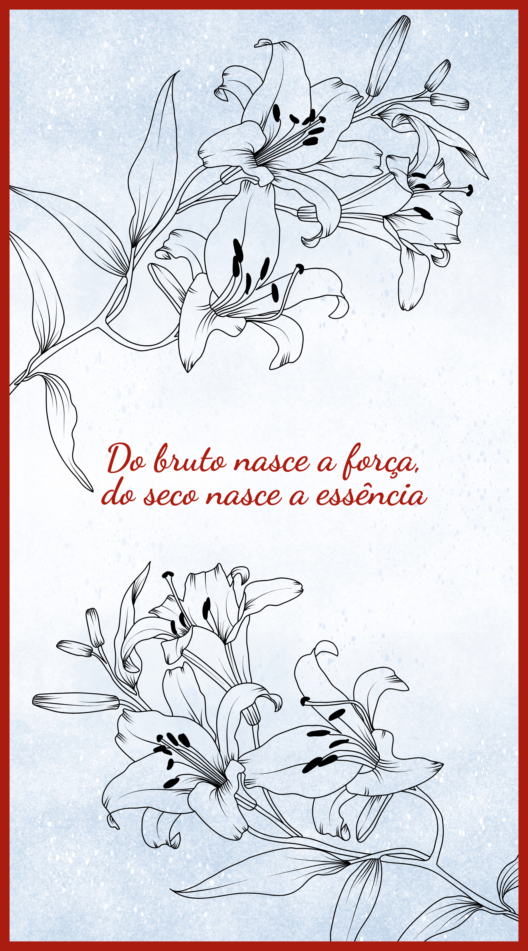 Coleção Palo Seco Detalhe